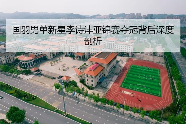 国羽男单新星李诗沣亚锦赛夺冠背后深度剖析