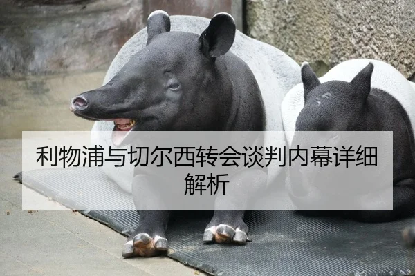 利物浦与切尔西转会谈判内幕详细解析
